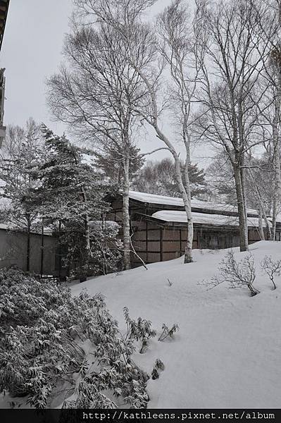 tn_DSC_0117.JPG tn_DSC_0117.JPG