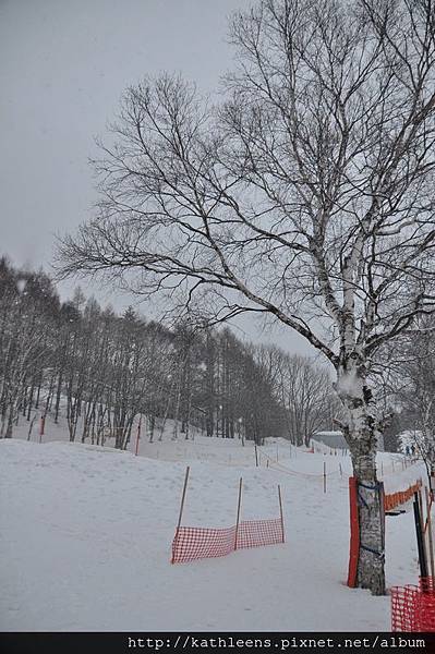 tn_DSC_0126.JPG tn_DSC_0126.JPG