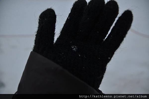 tn_DSC_0128.JPG tn_DSC_0128.JPG