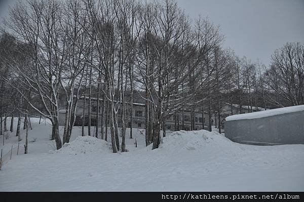 tn_DSC_0130.JPG tn_DSC_0130.JPG