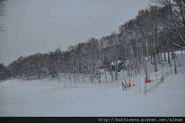 tn_DSC_0131.JPG tn_DSC_0131.JPG