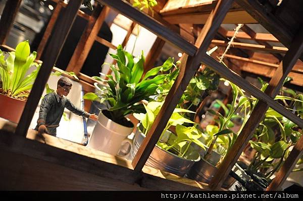 tn_DSC_0009.JPG tn_DSC_0009.JPG