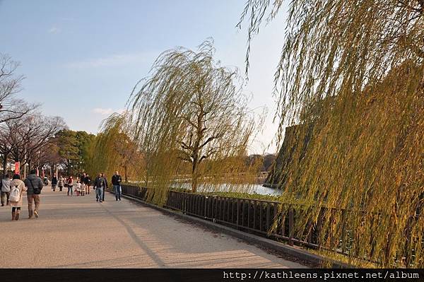 tn_DSC_0943.JPG