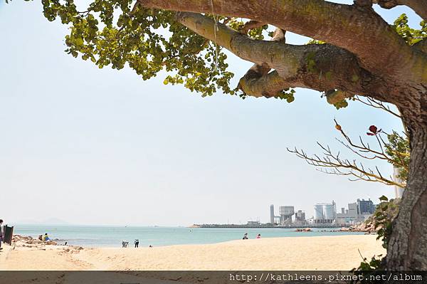 DSC_0138.JPG DSC_0138.JPG