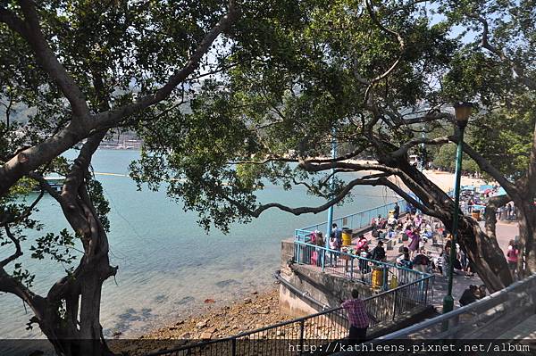 DSC_0151.JPG DSC_0151.JPG