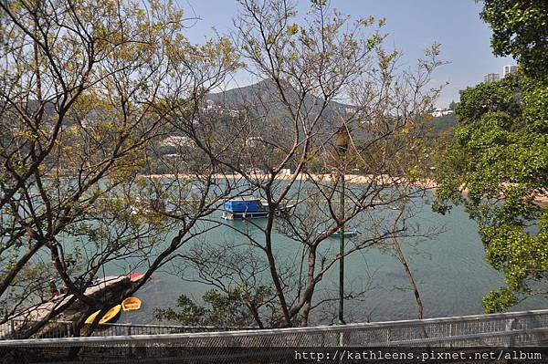 DSC_0152.JPG DSC_0152.JPG