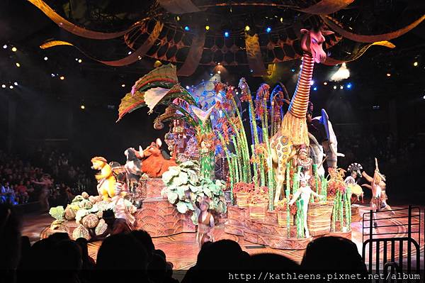 DSC_0246.JPG DSC_0246.JPG