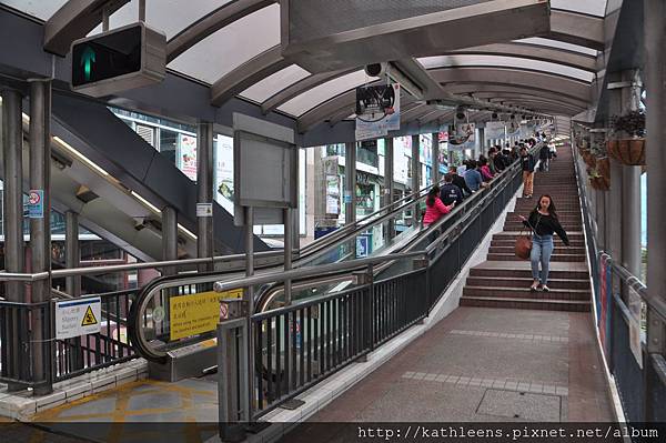 DSC_0362.JPG DSC_0362.JPG