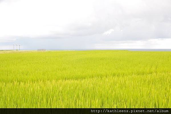 tn_DSC_0008.JPG tn_DSC_0008.JPG