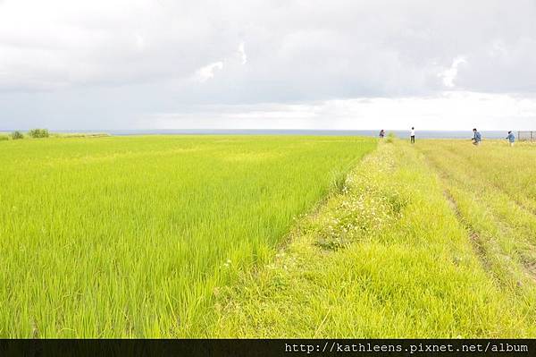 tn_DSC_0012.JPG tn_DSC_0012.JPG