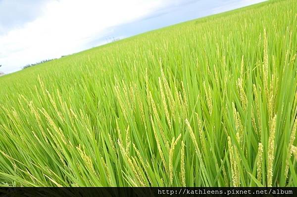 tn_DSC_0006.JPG tn_DSC_0006.JPG