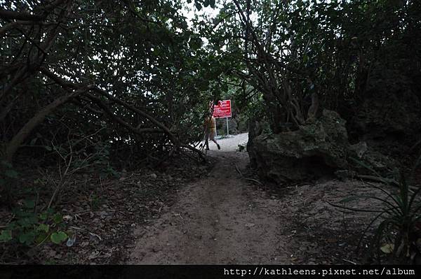 tn_DSC_0186.JPG tn_DSC_0186.JPG