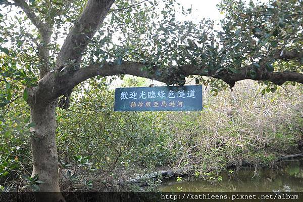 tn_DSC_0250.JPG tn_DSC_0250.JPG