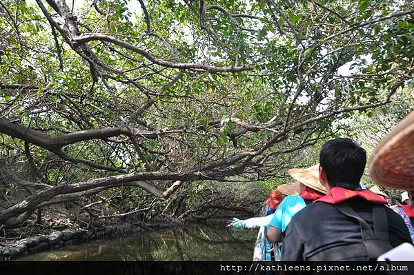 tn_DSC_0251.JPG tn_DSC_0251.JPG