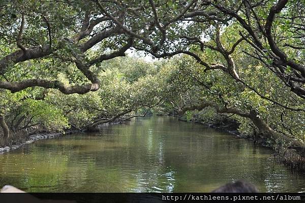 tn_DSC_0254.JPG tn_DSC_0254.JPG