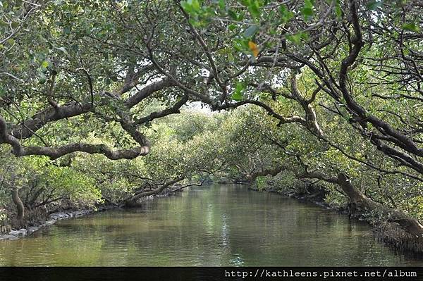 tn_DSC_0255.JPG tn_DSC_0255.JPG