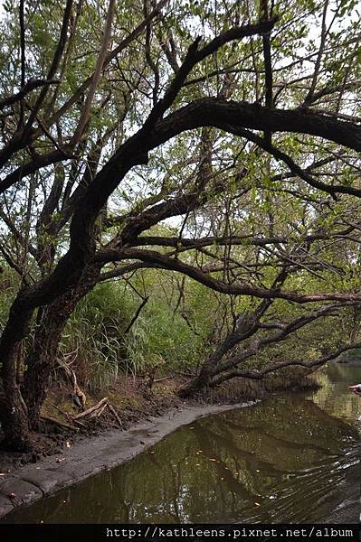 tn_DSC_0264.JPG tn_DSC_0264.JPG