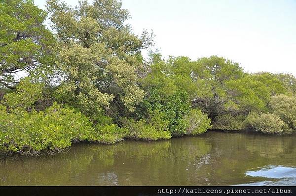 tn_DSC_0265.JPG tn_DSC_0265.JPG