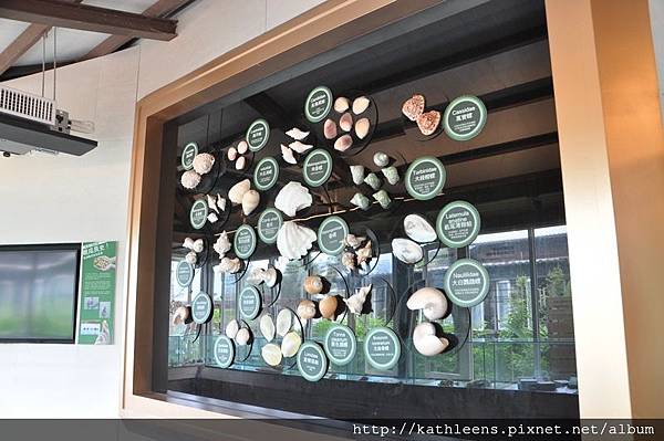 tn_DSC_0033.JPG tn_DSC_0033.JPG