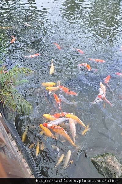 tn_DSC_0049.JPG tn_DSC_0049.JPG