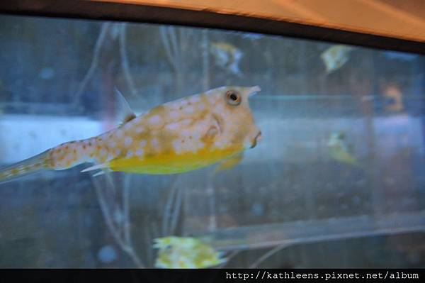 tn_DSC_0103.JPG tn_DSC_0103.JPG