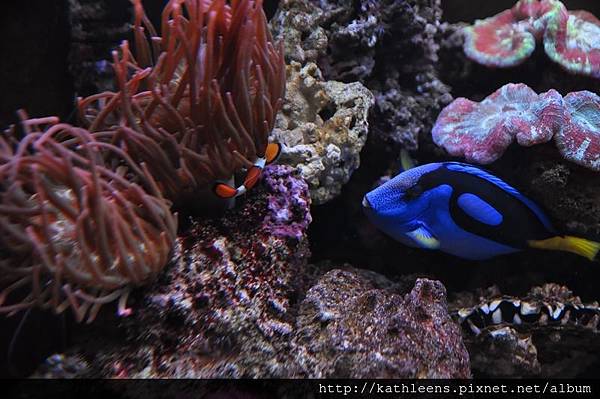 tn_DSC_0109.JPG tn_DSC_0109.JPG