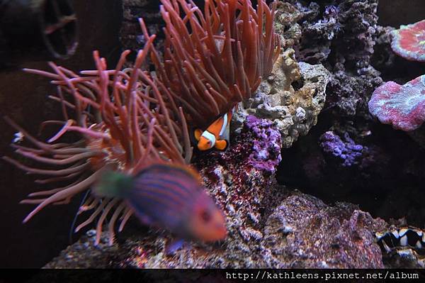 tn_DSC_0111.JPG tn_DSC_0111.JPG