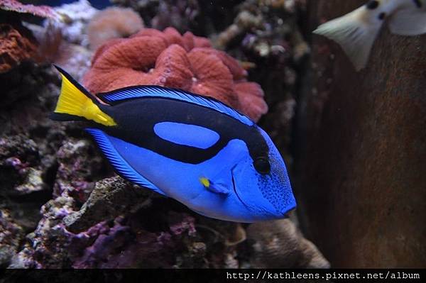 tn_DSC_0112.JPG tn_DSC_0112.JPG