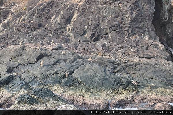 tn_DSC_0811.JPG tn_DSC_0811.JPG