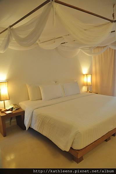 tn_DSC_0831.JPG tn_DSC_0831.JPG