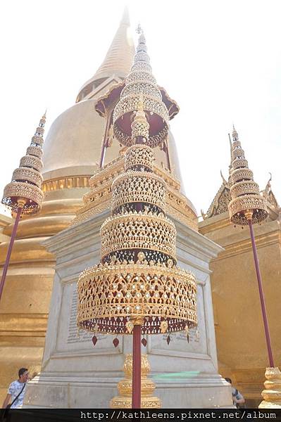 tn_DSC_0068.JPG tn_DSC_0068.JPG