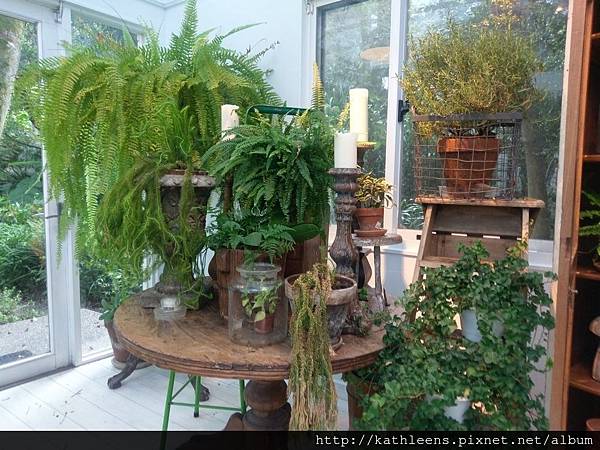 tn_IMAG0482.jpg tn_IMAG0482.jpg