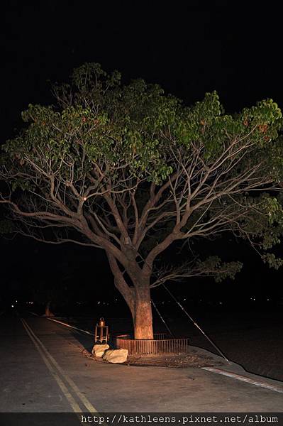 tn_DSC_0026.JPG tn_DSC_0026.JPG