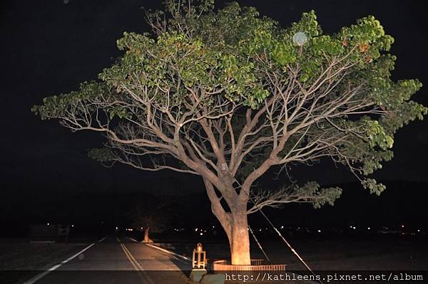 tn_DSC_0024.JPG tn_DSC_0024.JPG