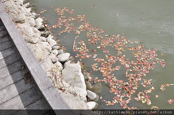 tn_DSC_0130.JPG tn_DSC_0130.JPG