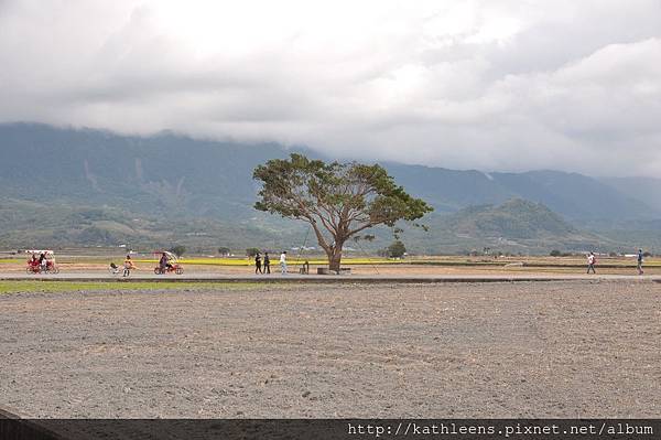 tn_DSC_0139.JPG tn_DSC_0139.JPG