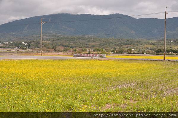 tn_DSC_0137.JPG tn_DSC_0137.JPG