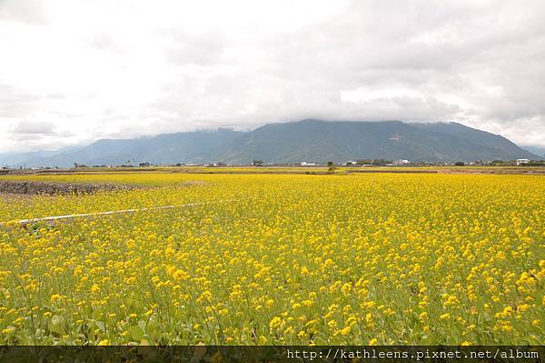 tn_DSC_0138.JPG tn_DSC_0138.JPG