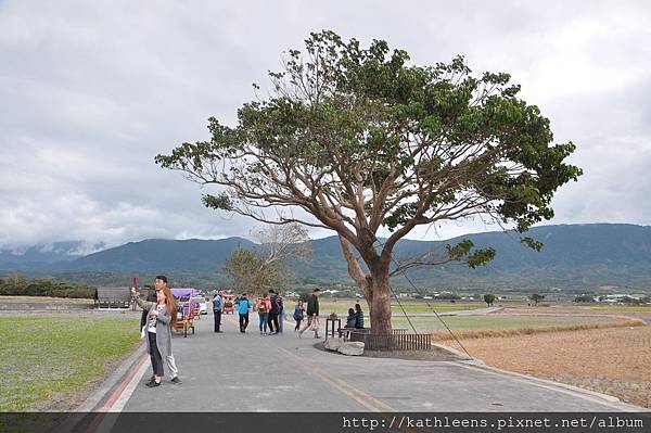 tn_DSC_0145.JPG tn_DSC_0145.JPG