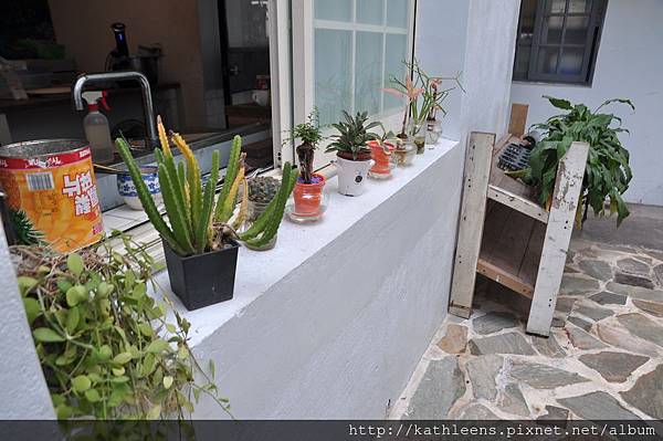 tn_DSC_0266.JPG tn_DSC_0266.JPG