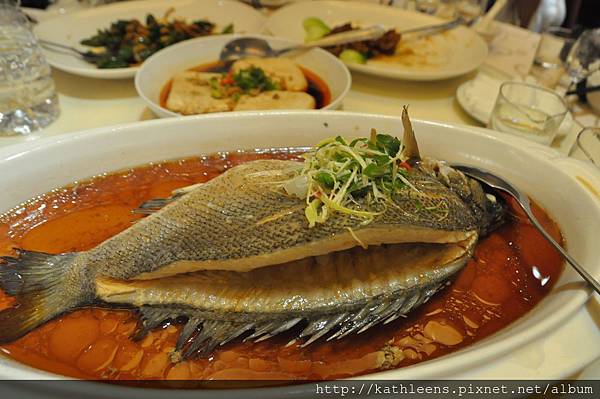 tn_DSC_0016.JPG tn_DSC_0016.JPG