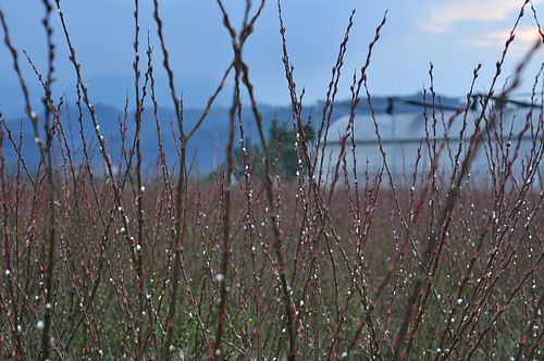tn_dsc1004.JPG