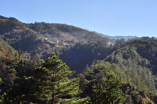 tn_dsc826.JPG