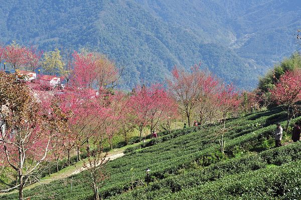 tn_DSC_4377.JPG tn_DSC_4377.JPG