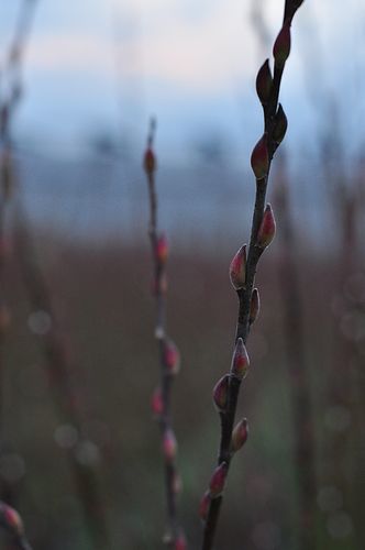 tn_dsc1002.JPG