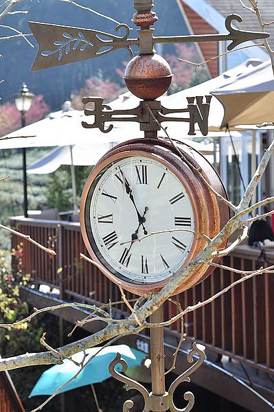 tn_DSC_4399.JPG tn_DSC_4399.JPG