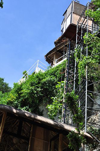 tn_DSC_1172.JPG