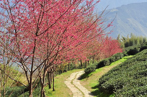 tn_DSC_4391.JPG tn_DSC_4391.JPG