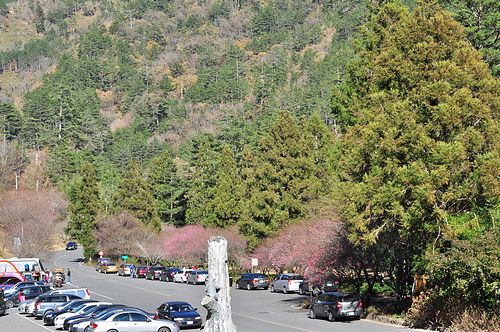 tn_dsc843.JPG