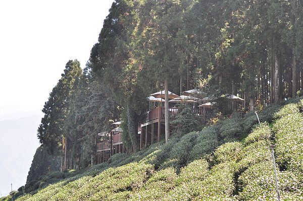 tn_DSC_4389.JPG tn_DSC_4389.JPG